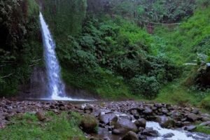 Curug Jedor