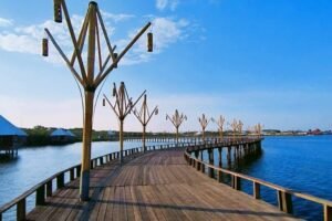 Hutan Mangrove Probolinggo