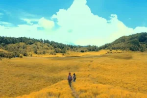 Padang Savana Dieng