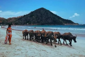 Pantai Selong Belanak