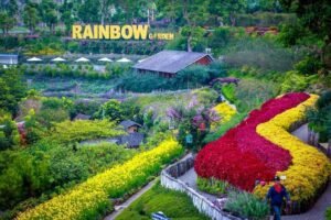 Rainbow Garden