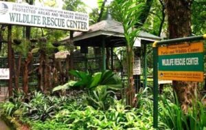 Wildlife Rescue Center