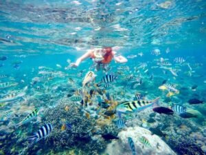 Lembongan Ocean Adventure