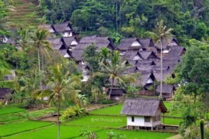 Kampung Tenun Sukarare