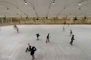 Gardenice Rink