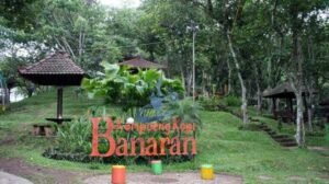 Kampoeng Kopi Banaran