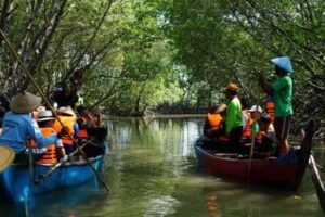 Maron Mangrove Edupark