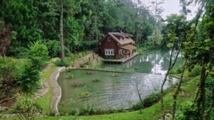 Taman Wisata Bougenville