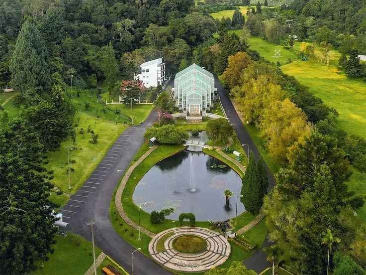 Kebun Raya Cibodas