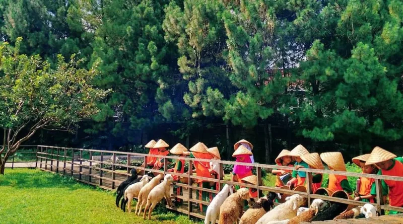 Kuntum Farmfield