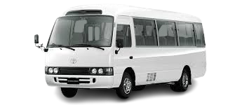 elf_short_long-removebg-preview