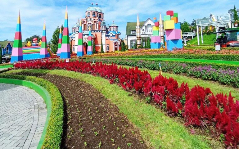 Wisata Bandungan Celosia