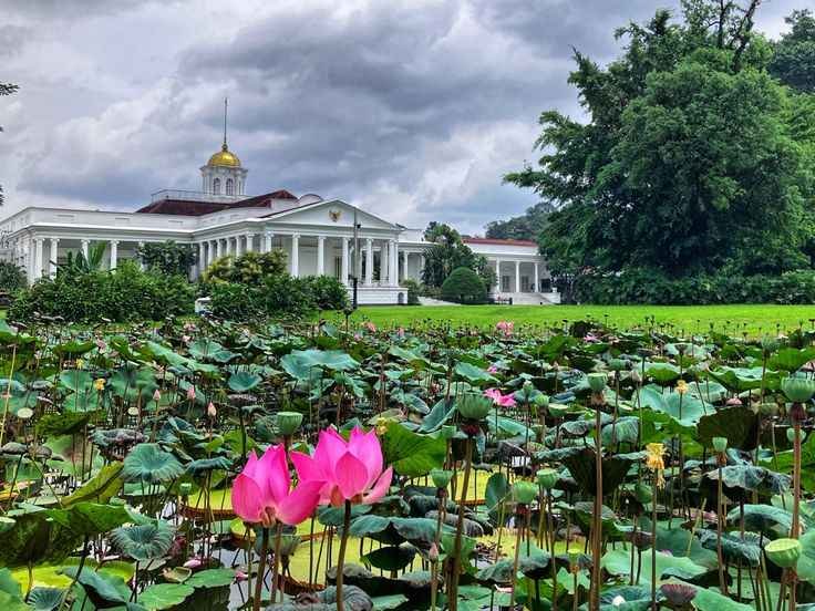 Kebun Raya Bogor