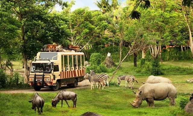 Taman Safari Indonesia