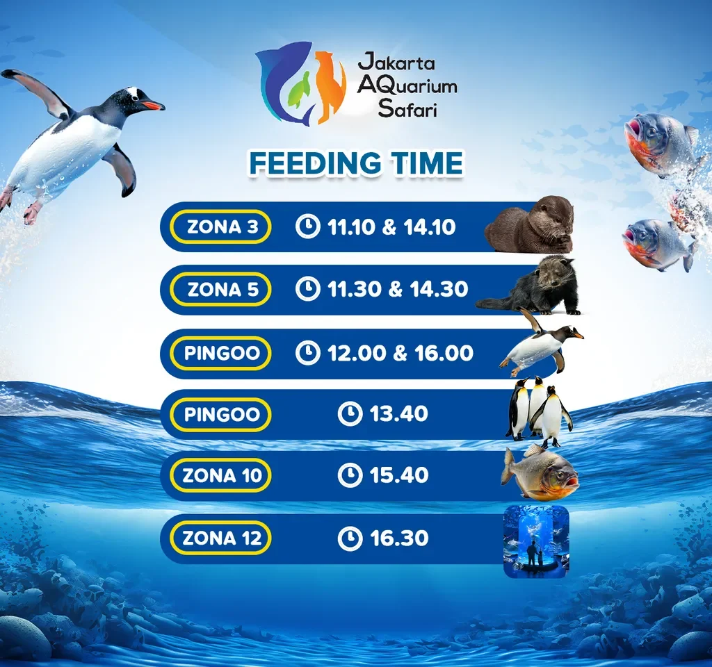 harga tiket Jakarta Aquarium