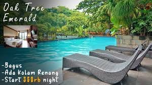 oak tree emerald hotel semarang