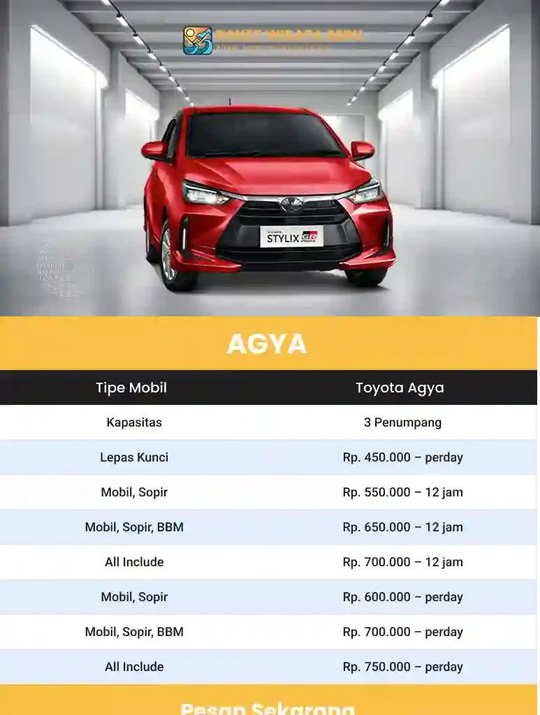 rental mobil banten
