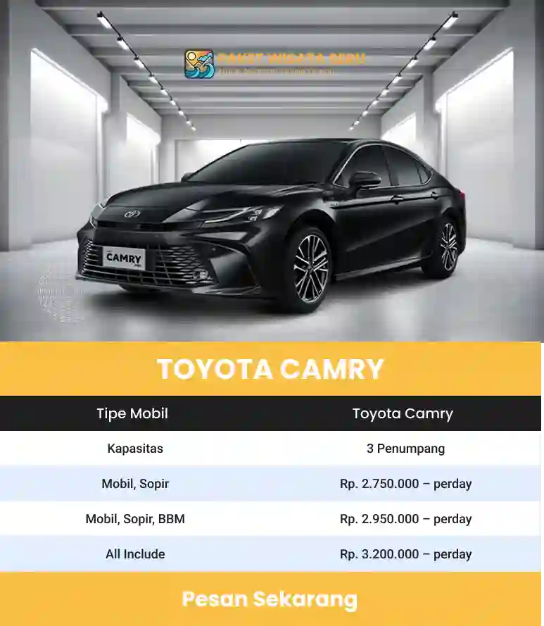 rental mobil banten